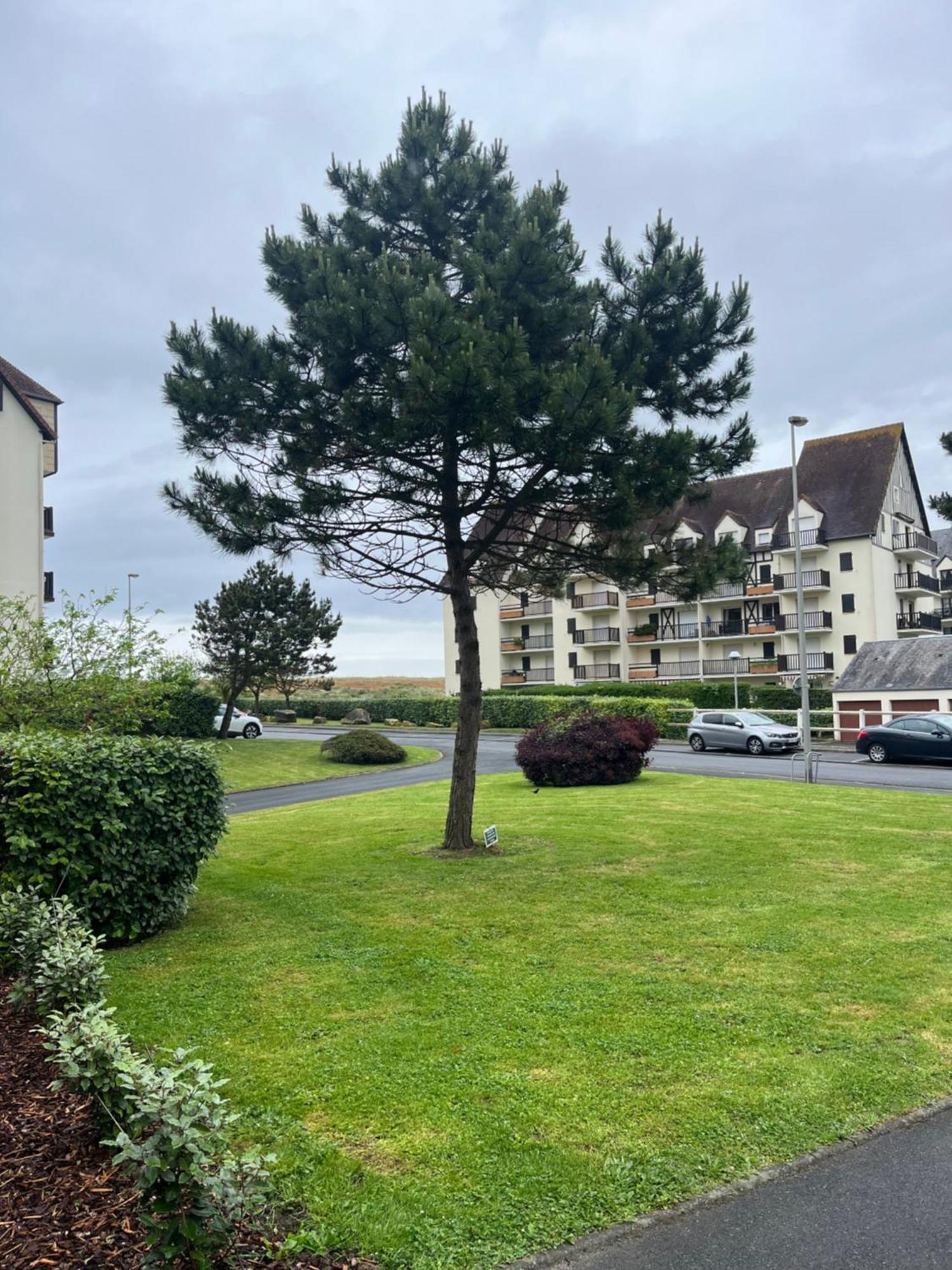 Apartment La Parenthese Cabourgeaise *